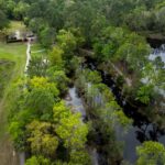 8 Hidden Gem Parks to Visit in Jacksonville, Florida