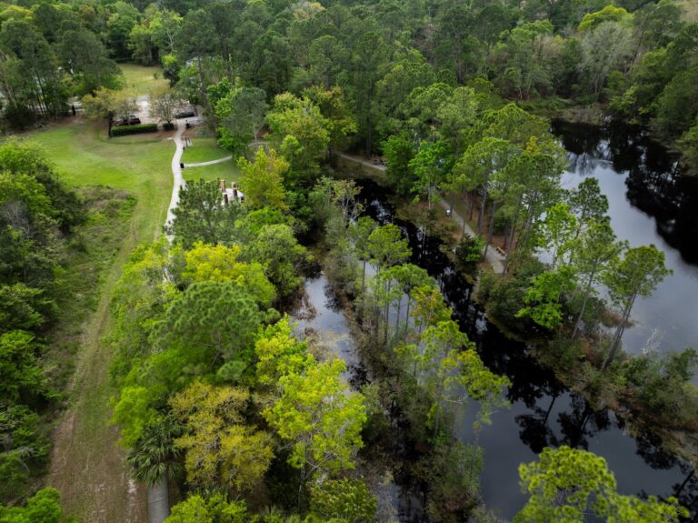 8 Hidden Gem Parks to Visit in Jacksonville