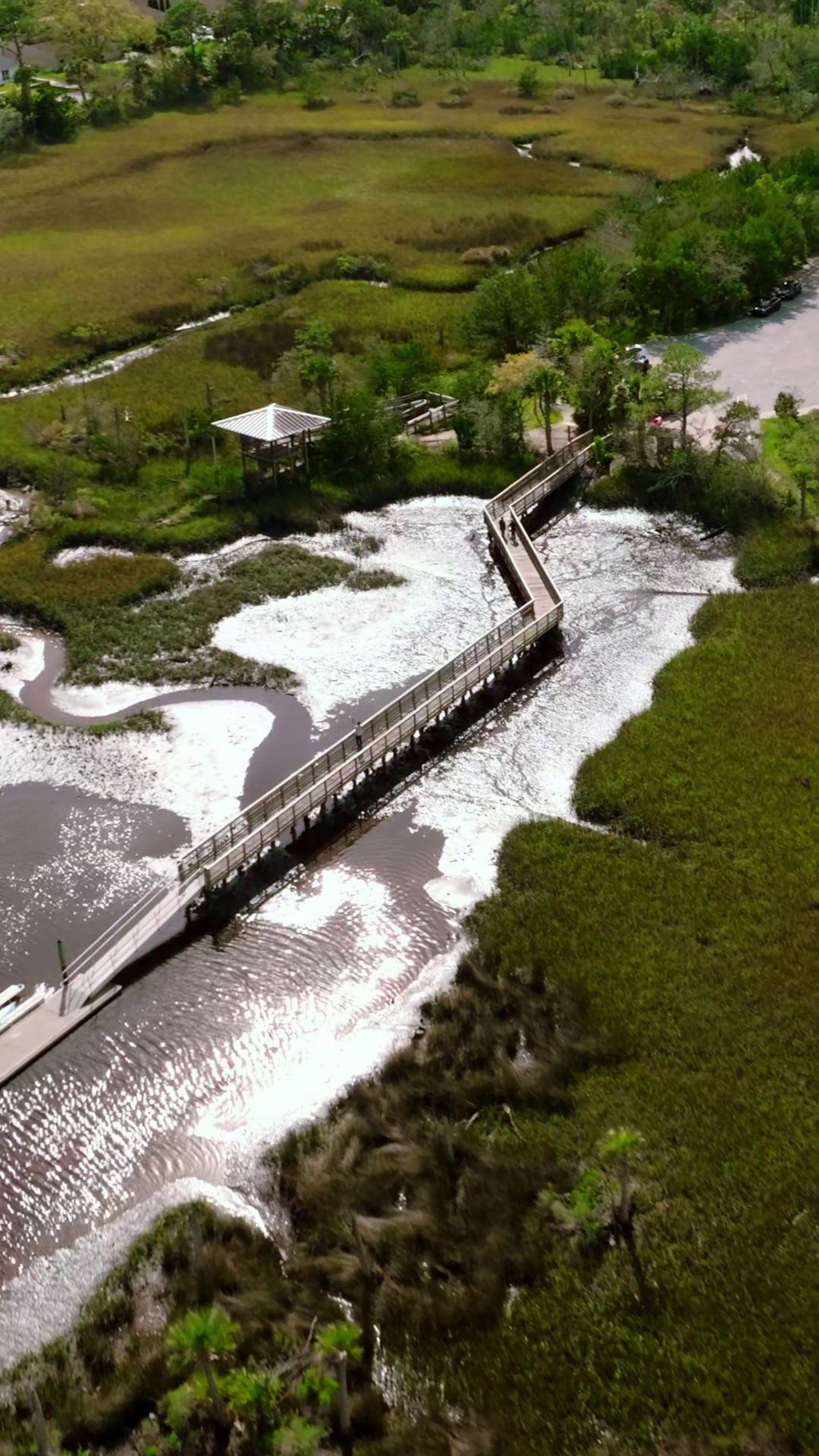 8 Hidden Gem Parks to Visit in Jacksonville | Explore Jacksonville