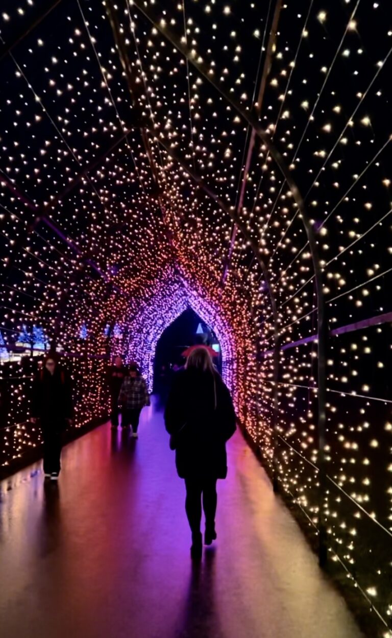 Christmas in Jacksonville: A Holiday Activity Guide (2024)