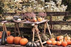 Charming autumnal display with pumpkins and flowers on a rustic table outdoors.