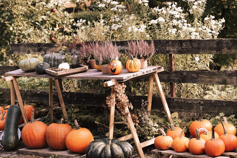 Charming autumnal display with pumpkins and flowers on a rustic table outdoors.