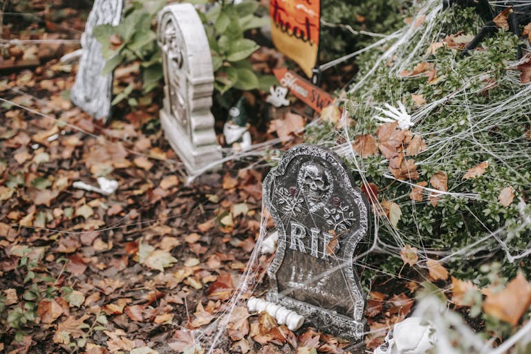 Fake graves covered in web with bones lying around near signs trick or treat and home sweet home on Halloween in autumn day