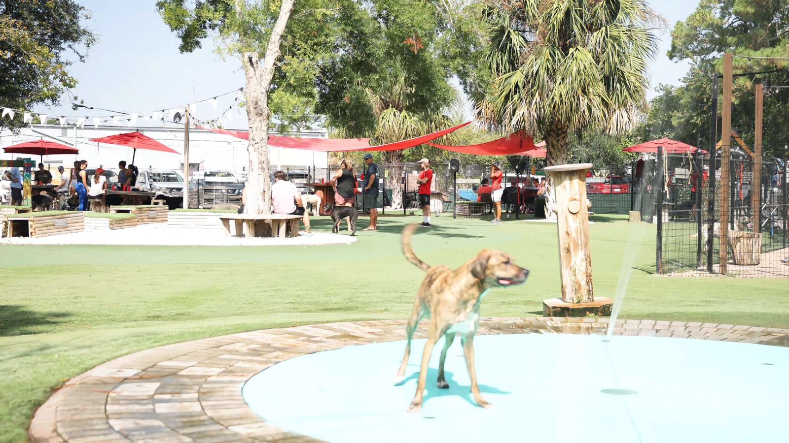BrewHound dog park in Atlantic Beach